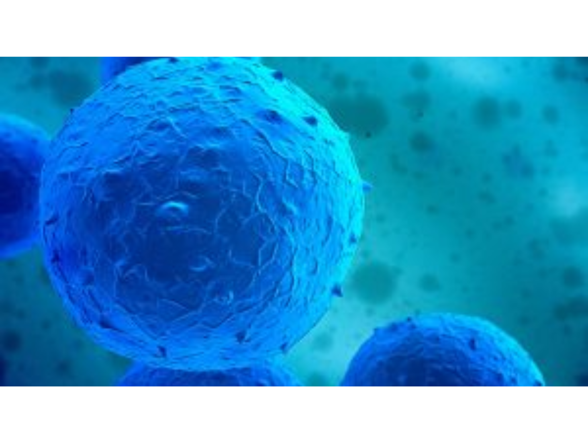 What are EXOSOMES?